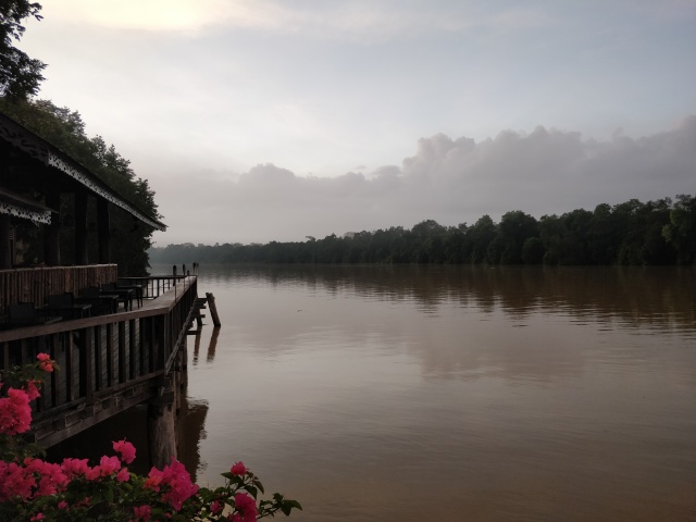 Early morning views over the river. Sukau Rainforest Lodge, Sabah